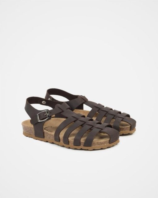 Markify.shop43620312ea 2