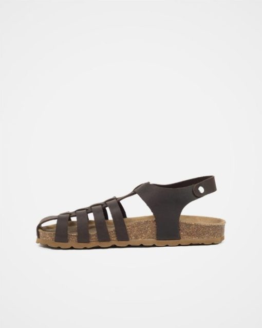 Markify.shop43620312ea 3