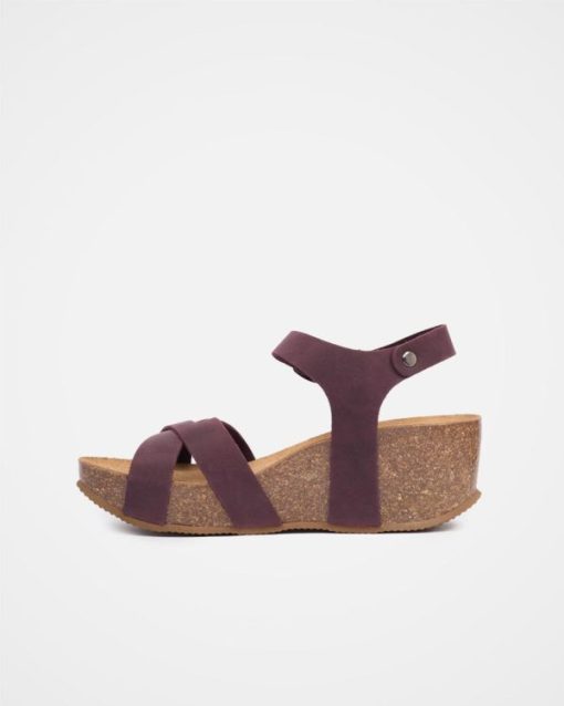 Markify.shopb15112cc12 5
